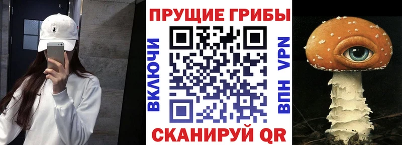 Галлюциногенные грибы Magic Shrooms  Хасавюрт 