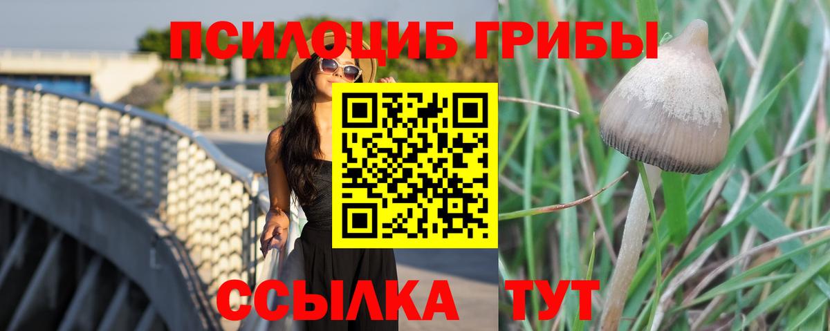 Псилоцибиновые грибы Psilocybe  Вход с VPN  Хасавюрт  Псилоцибиновые грибы прущие грибы 